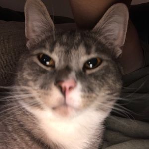 Meet your Posher, Derek